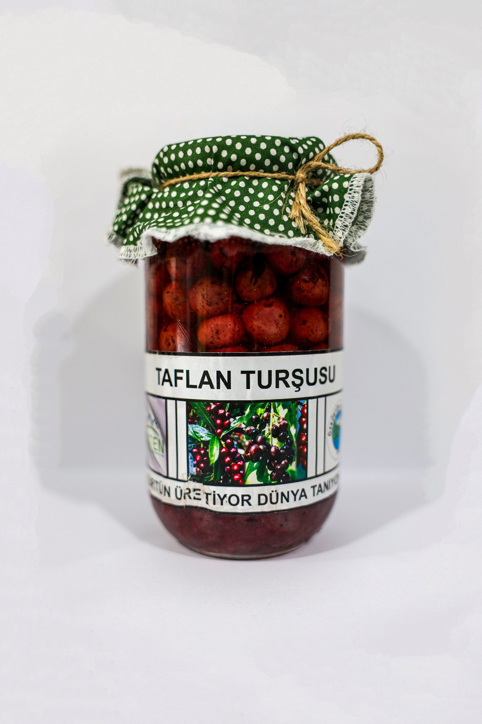 Taflan Turşusu