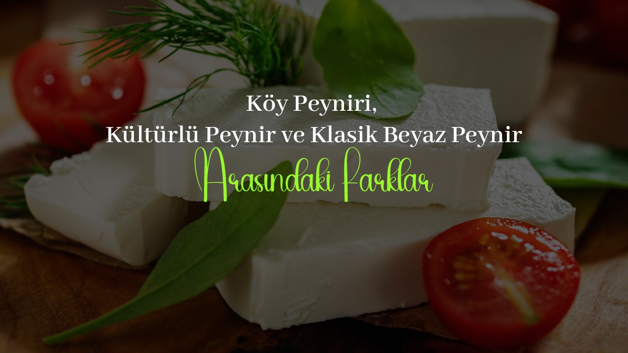 Köy Peyniri, Kültürlü Peynir ve Klasik Beyaz Peynir Arasındaki Farklar