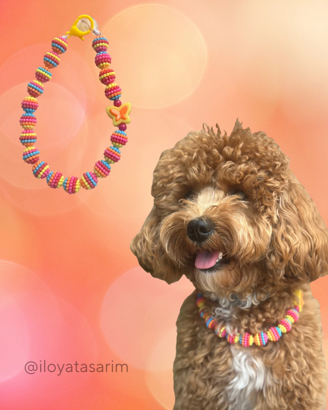 Rengarenk Boncuk Pet Kolye I Kelebek Detay