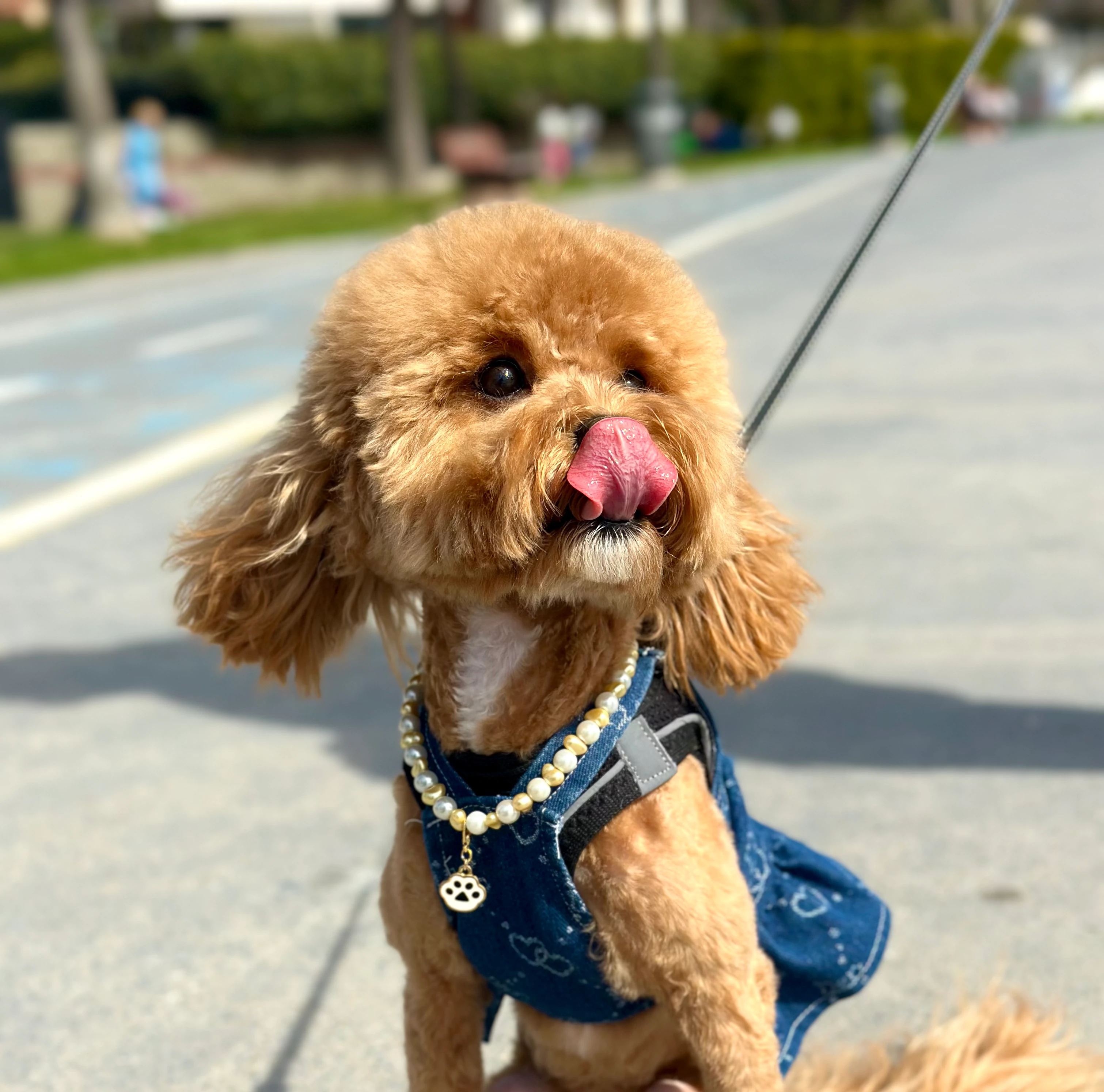 Diana Kolye - Sarı Taş Detay