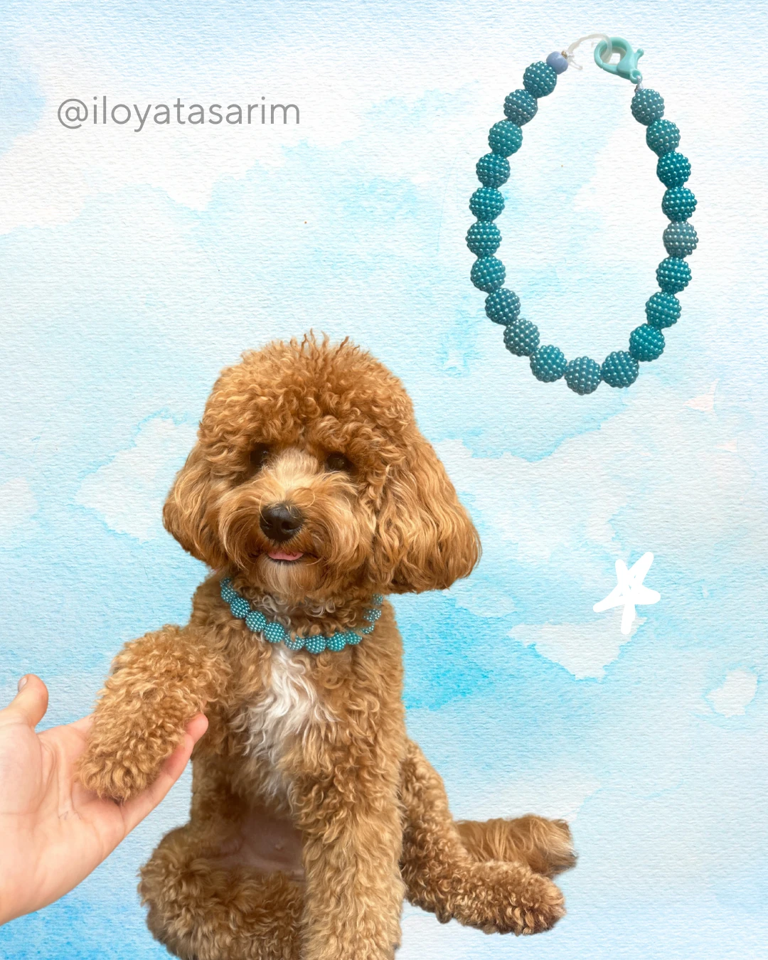 Mavi Boncuk Pet Kolye