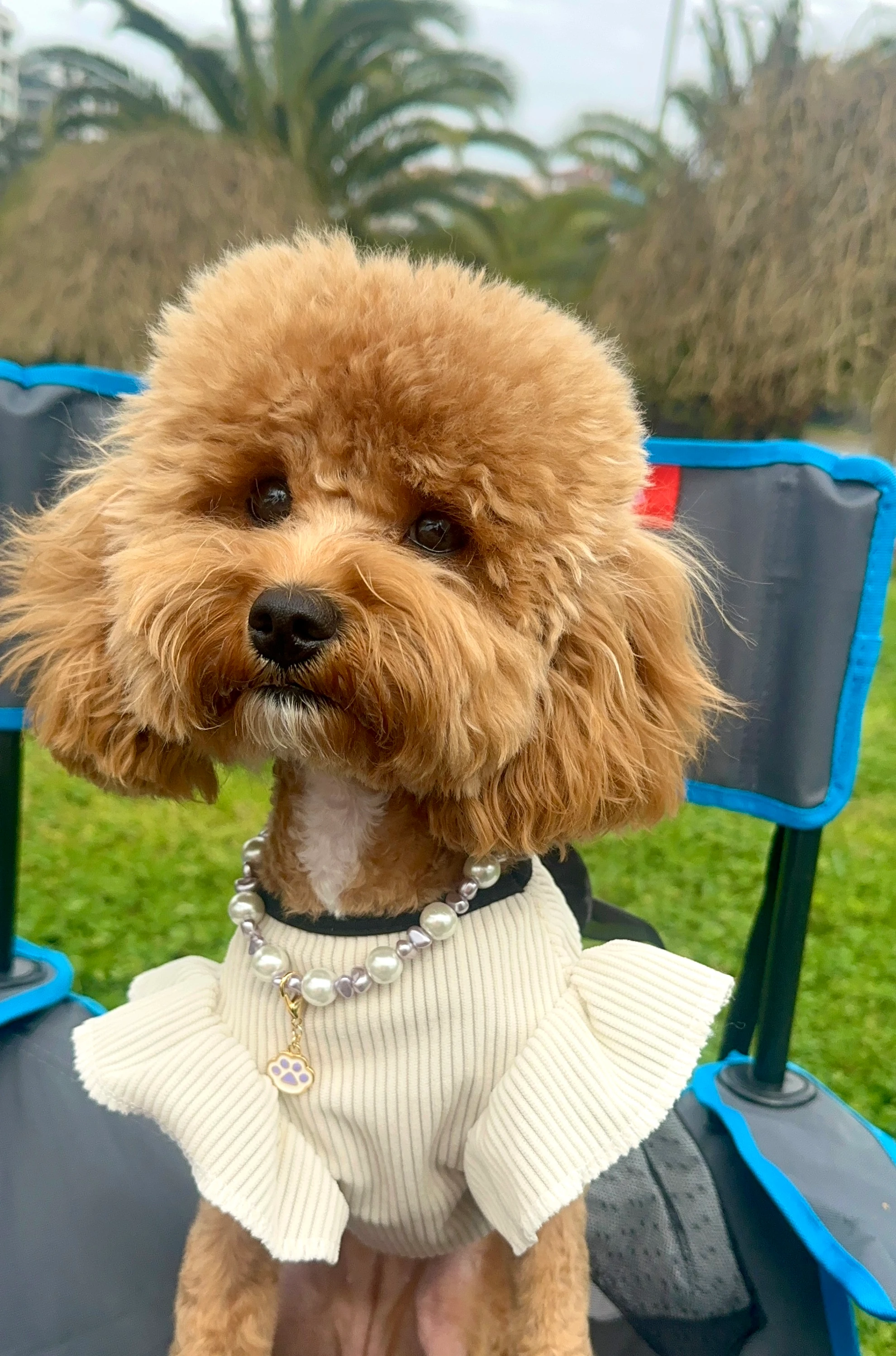 Diana Kolye - Lila Taş Detay