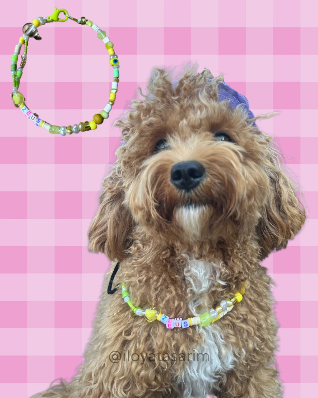 Renkli Kancalı İsimli Köpek Kolyesi - Kişiselleştirilmiş Ürün