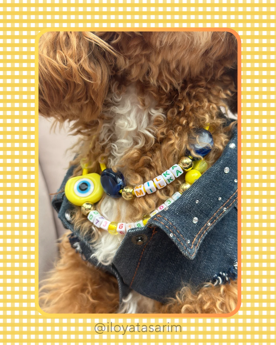 İsim ve Telefon Numaralı Kişiselleştirilmiş Köpek Kolyesi