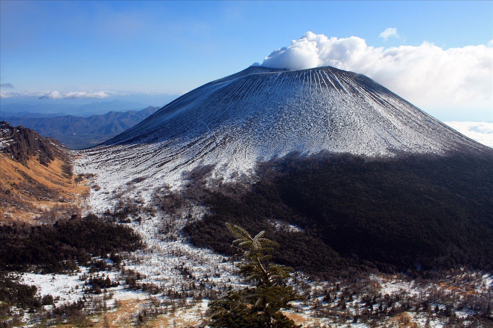 Asama - Japon Viski Kadehi