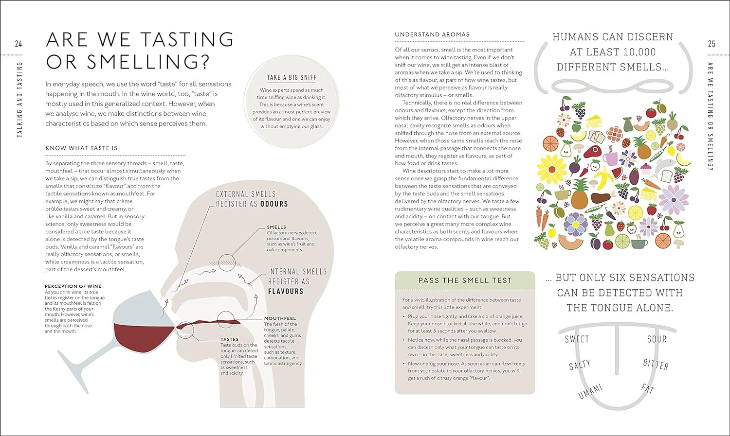 Wine A Tasting Course: From Grape to Glass