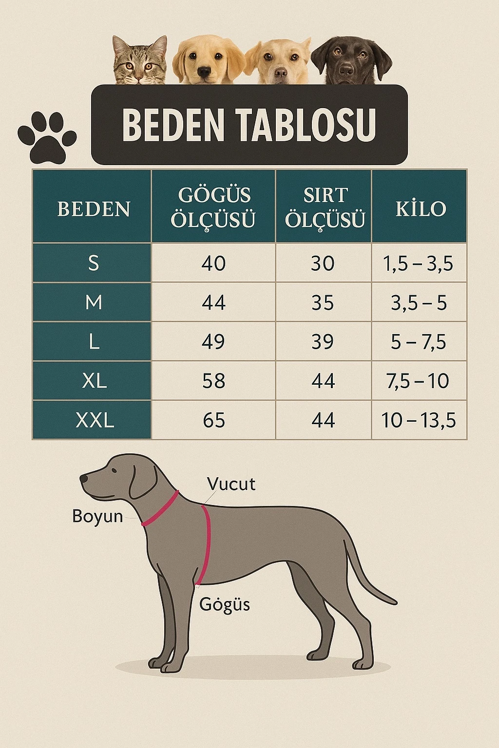 GUCCİ “Kürk Yakalı Özel Tasarım Köpek Ceketi – Lüks ve Tarz Bir Arada”