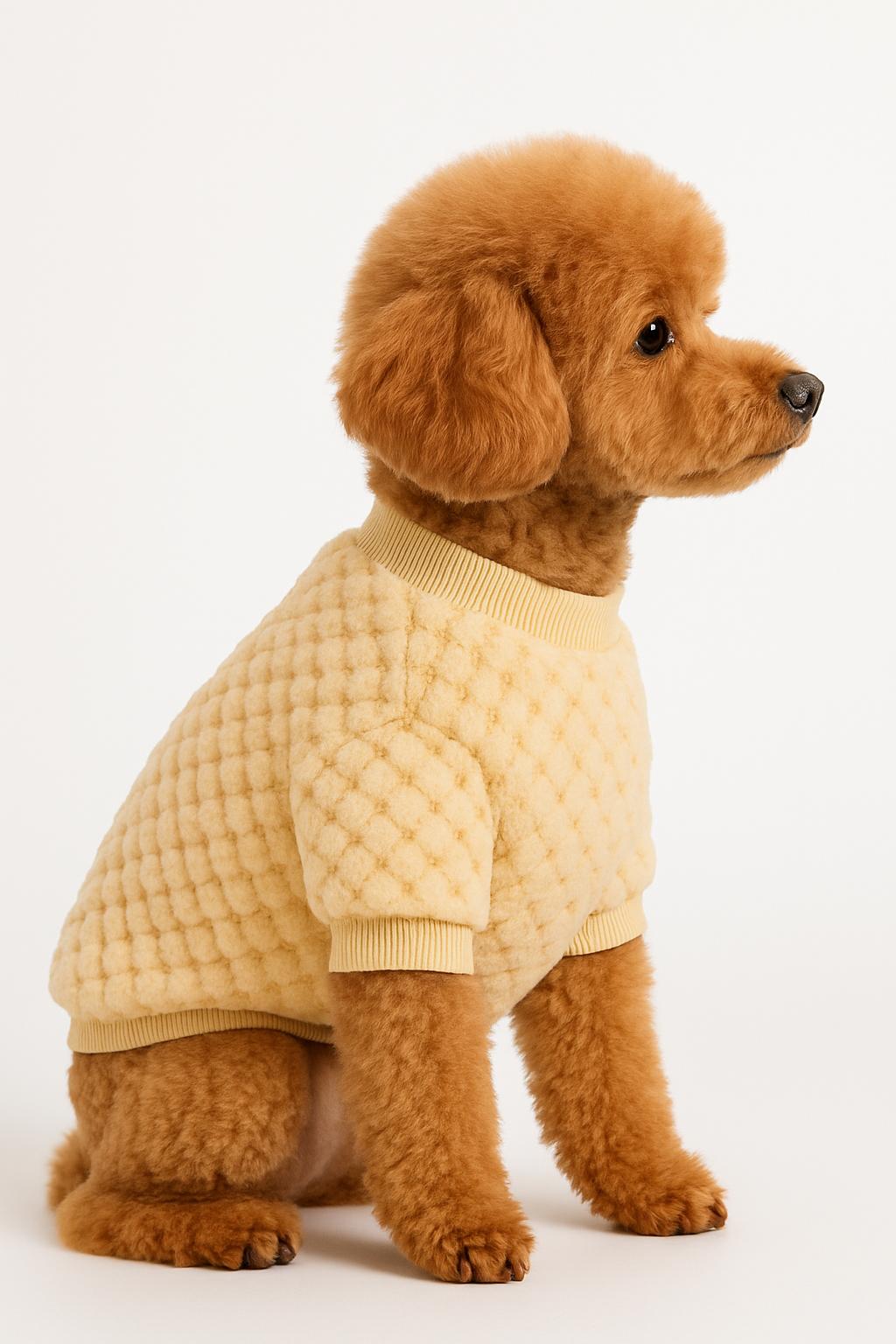 Pawpetia Bej Peluş Ayıcık Kazak – Minik Dostunuzun Kışlık Lüks Stili!