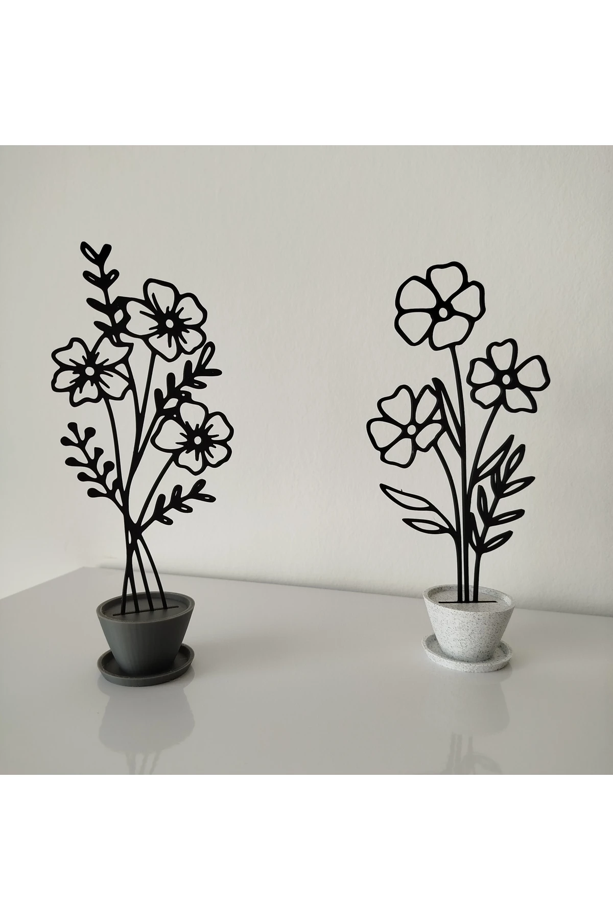 2 li Saksı Çiçekleri Ev Dekor