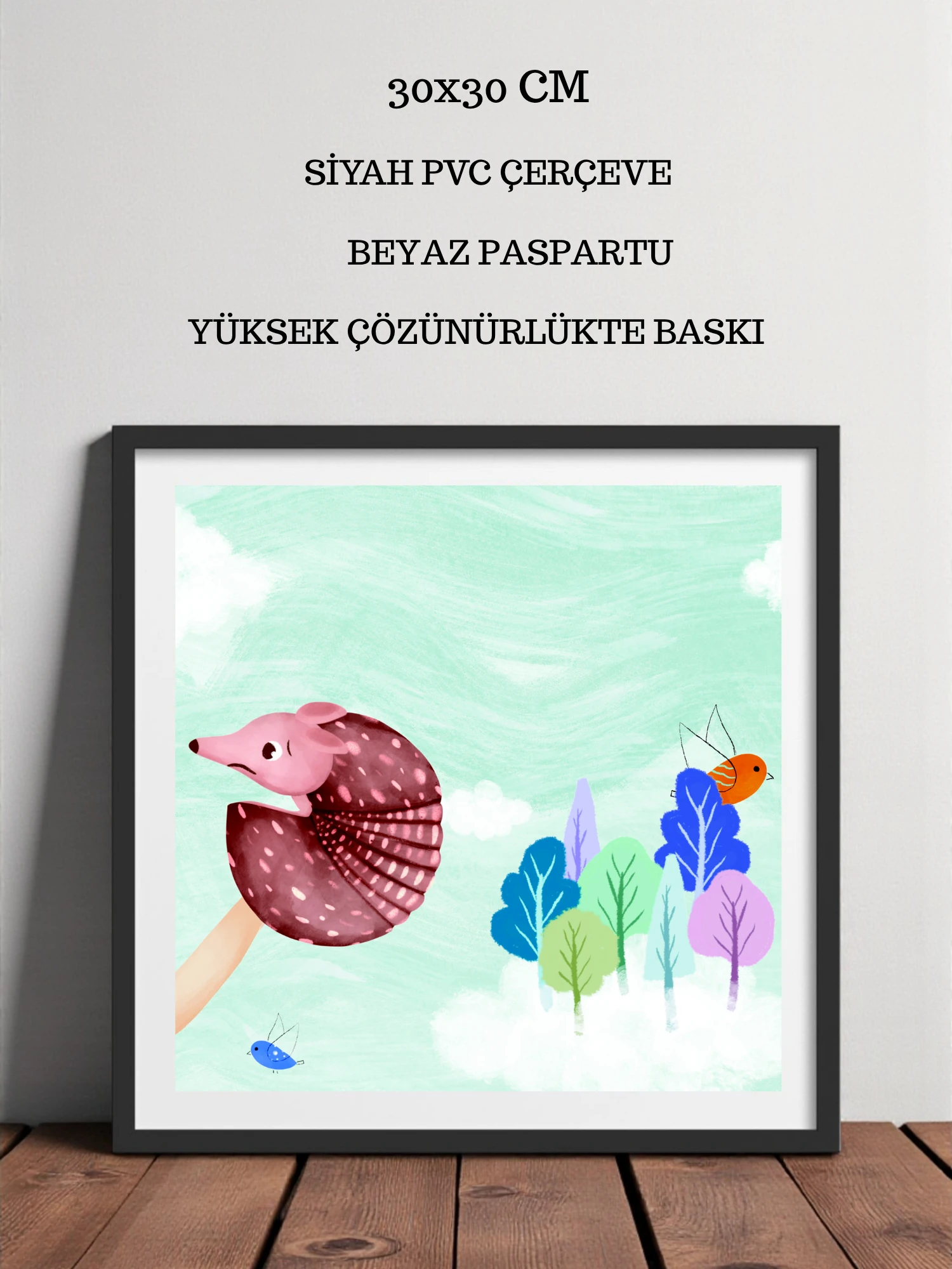 Sadece Bir Armadillo