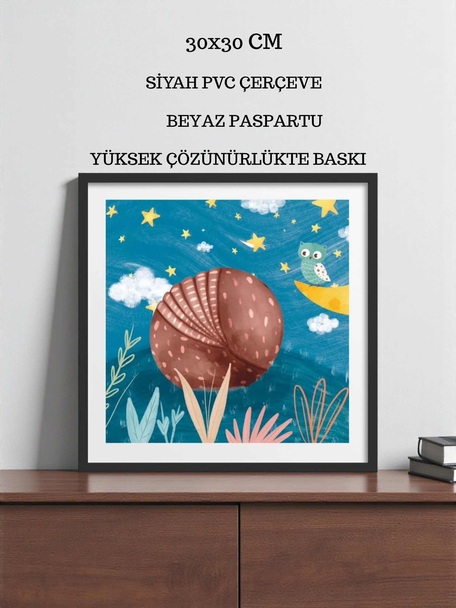 Sadece Bir Armadillo