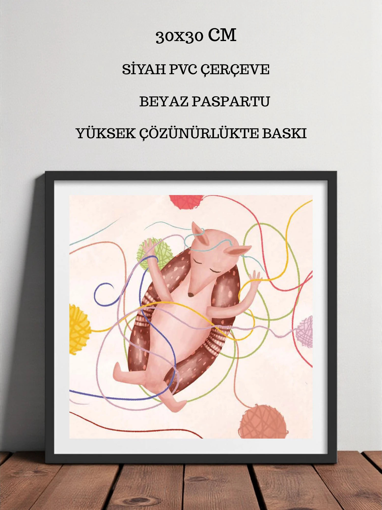 Sadece Bir Armadillo