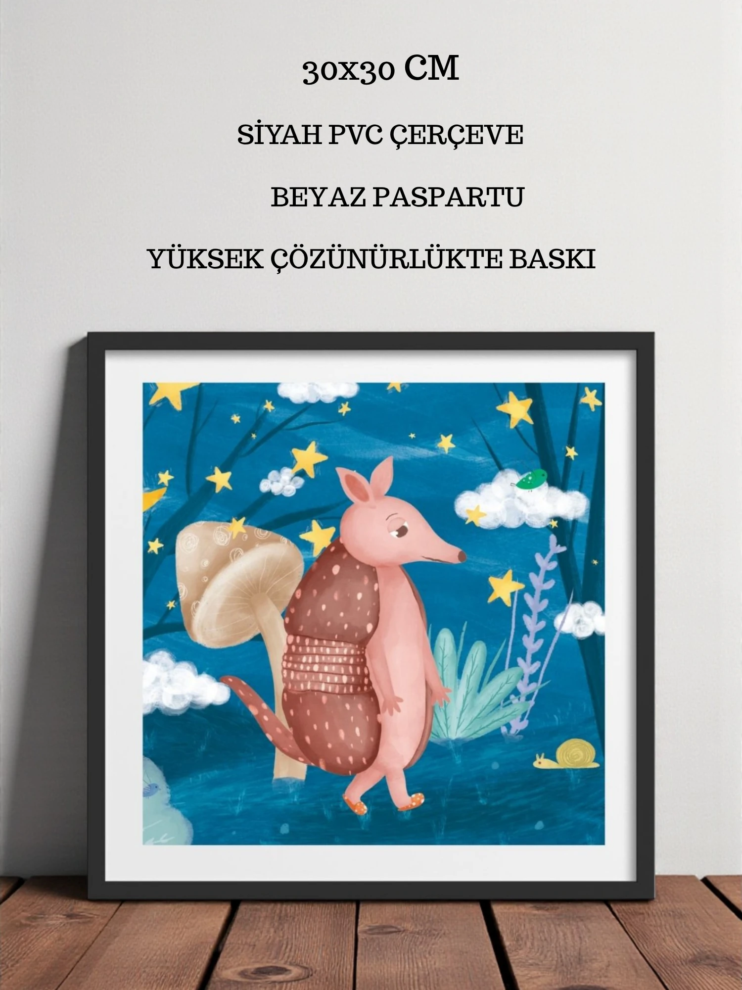 Sadece Bir Armadillo