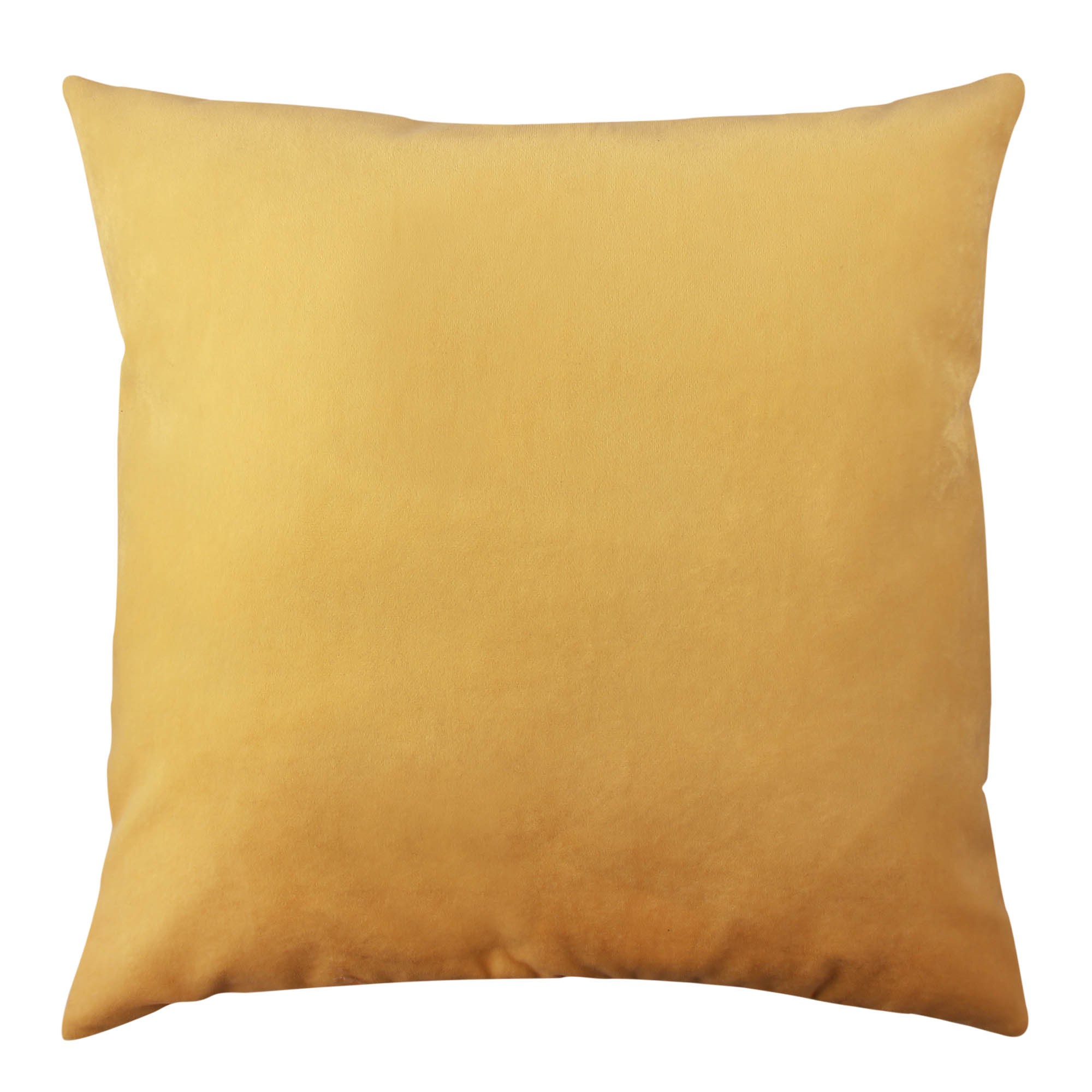 Coussin A11793