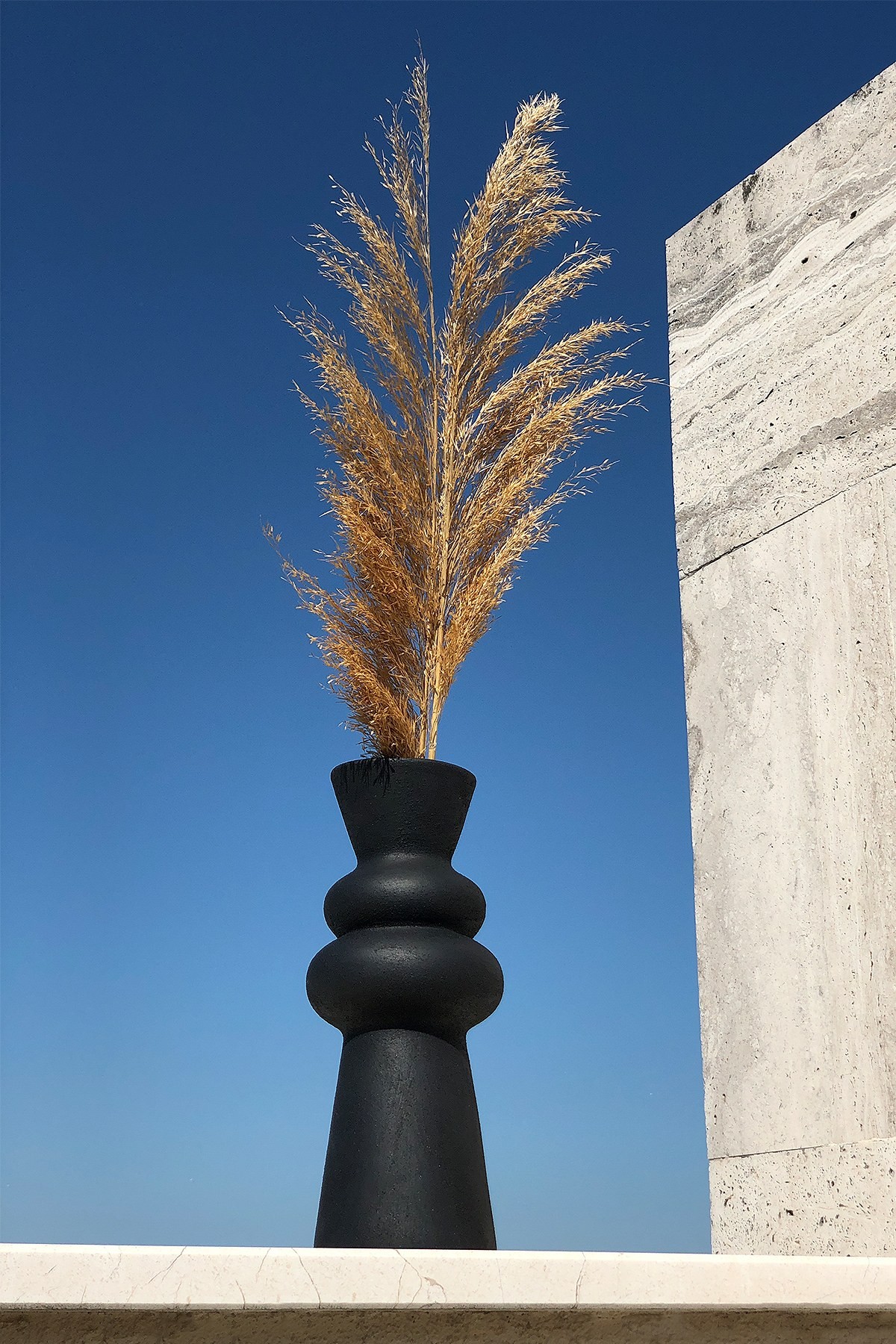 Vase Black Vase 001