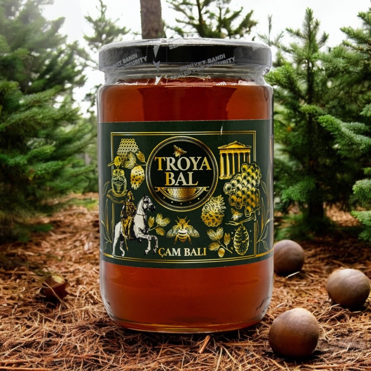 Çam Balı 850gr