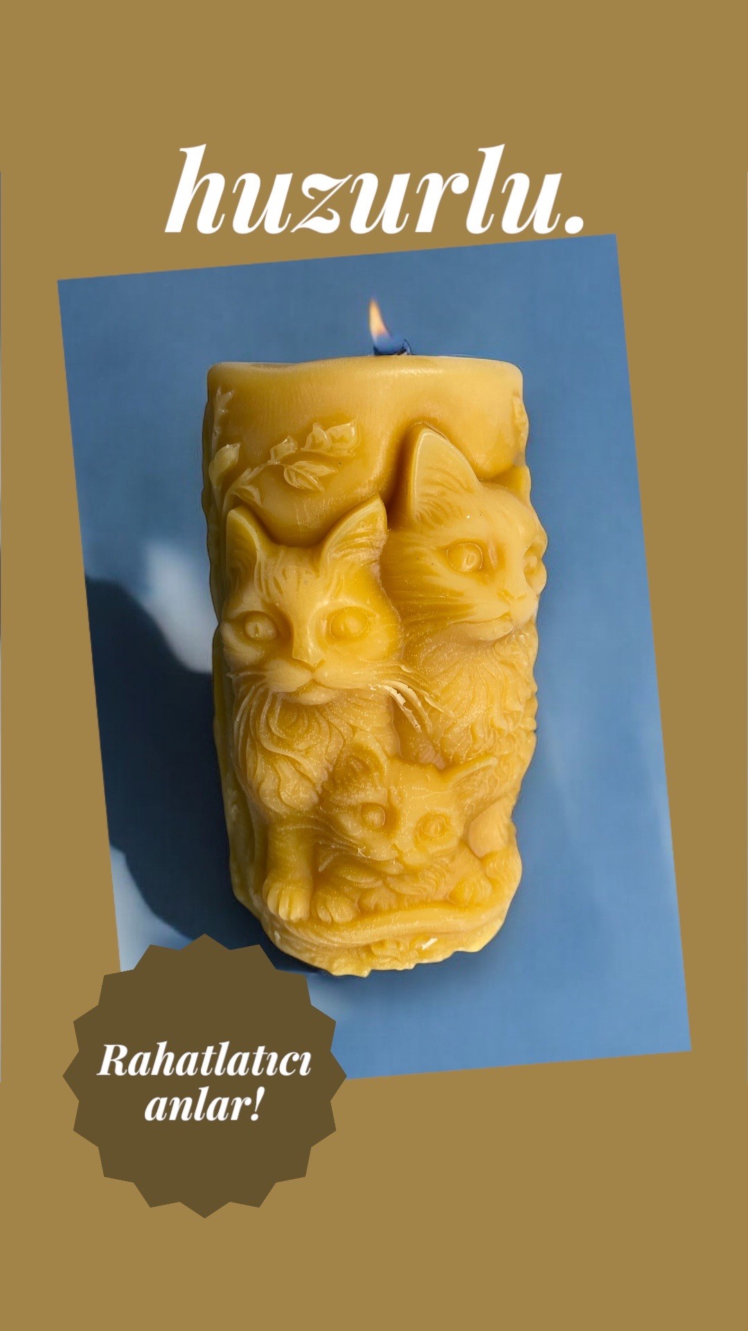 Troya Kedi Balmumu 