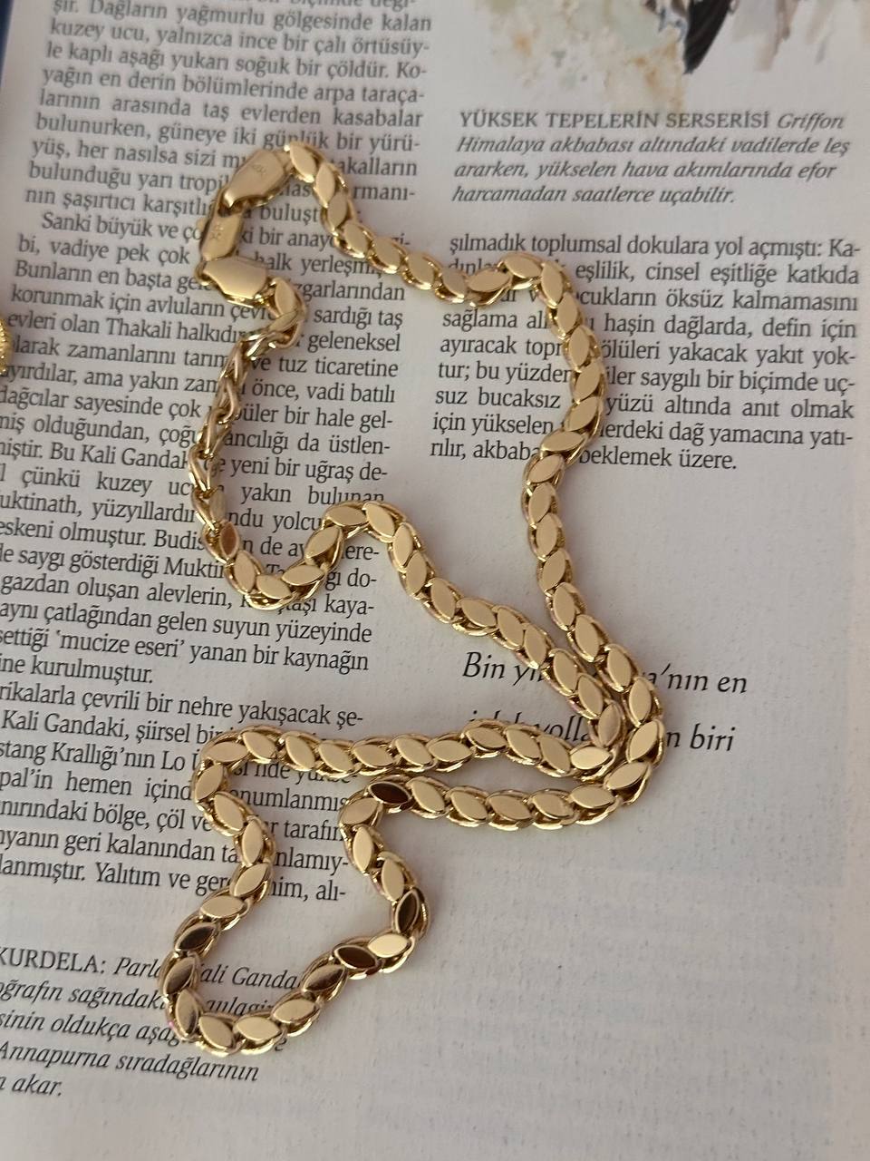 Vip Çelik Gold Renk Antialerjik Premium Seri Bakla Zincir Kolye Uzunluk 50 cm. Kalınlık 5 mm.