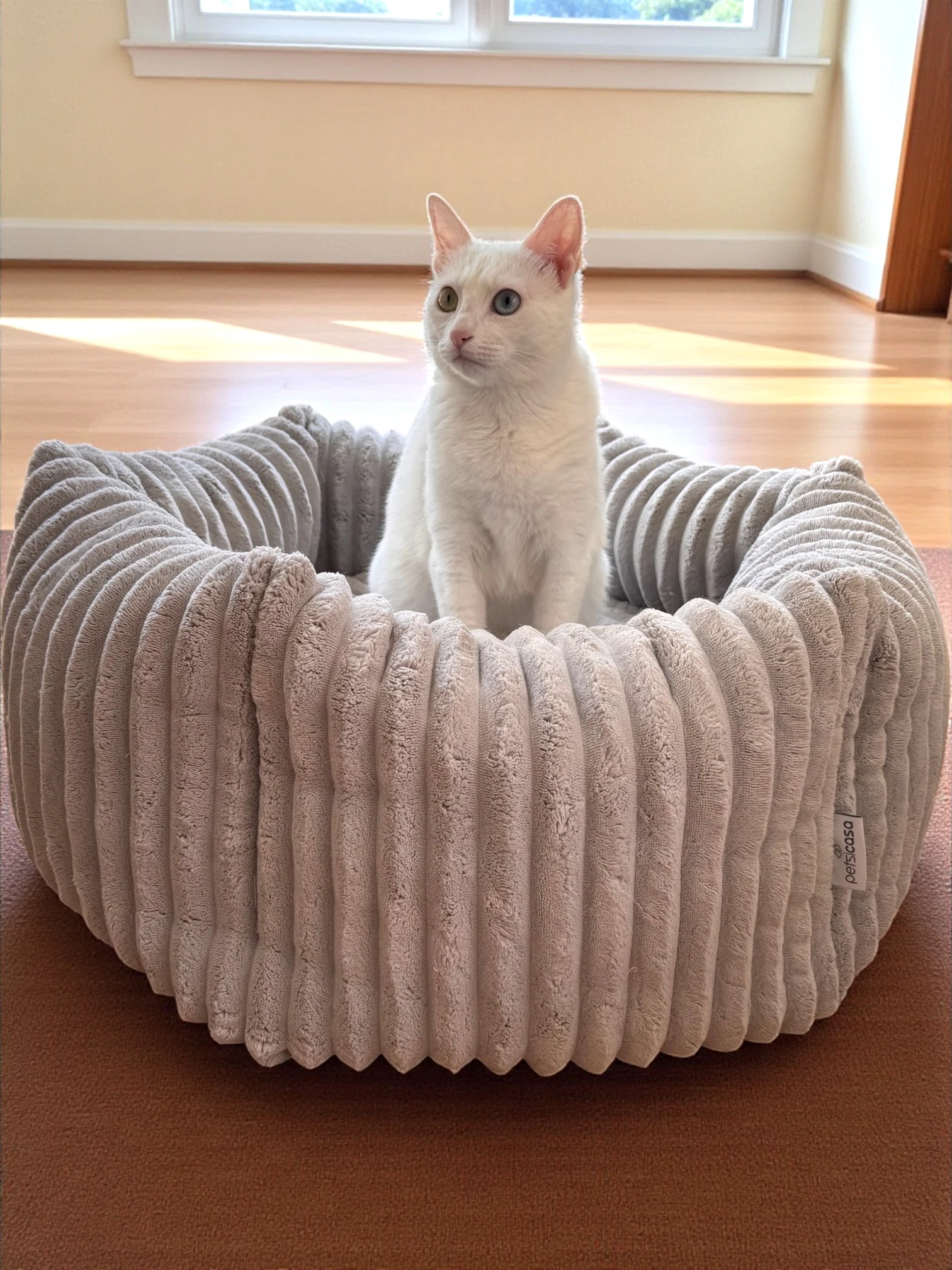 Moji Kedi Köpek Yatağı