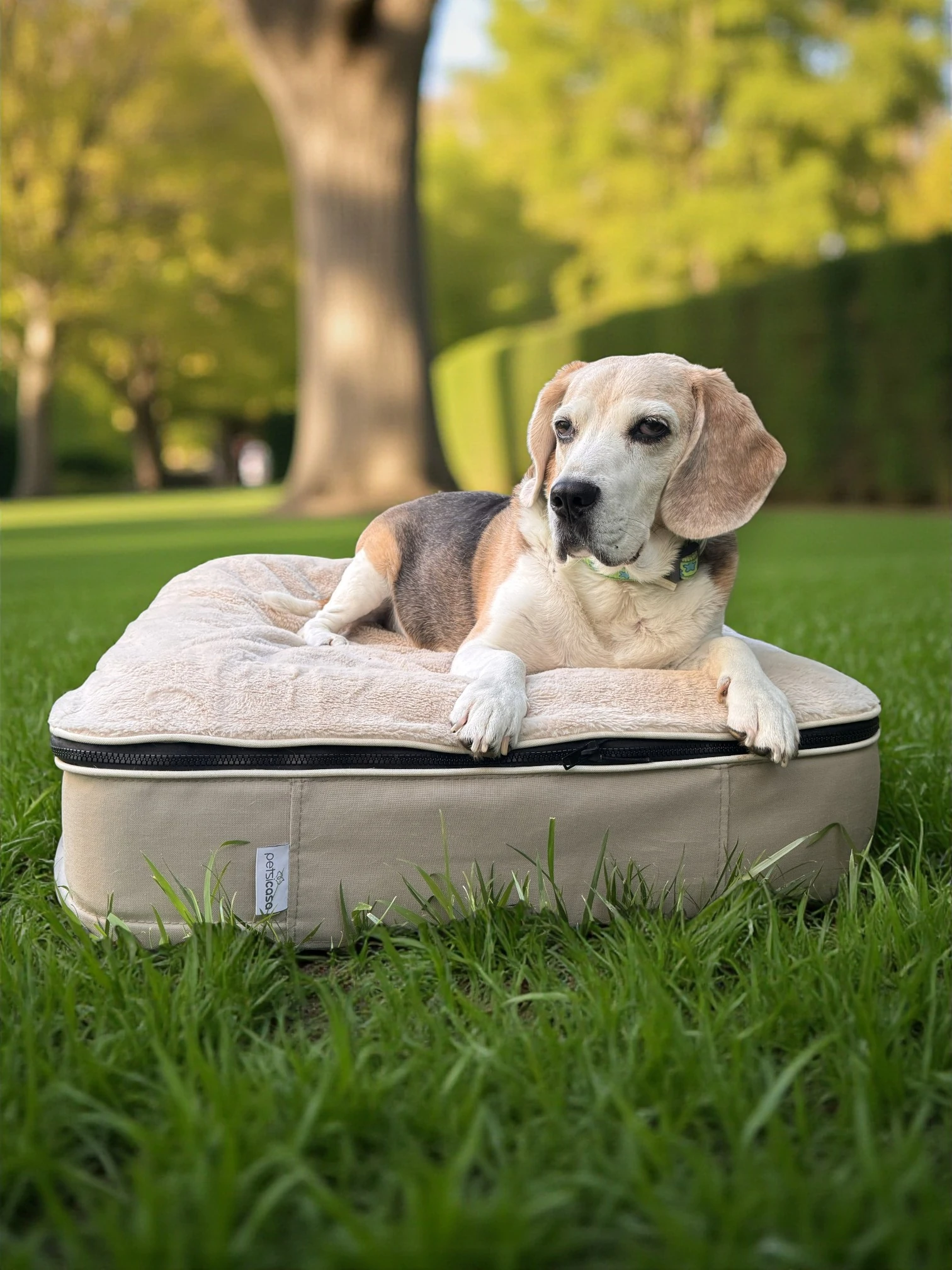 Zippy Outdoor Kedi Köpek Yatağı