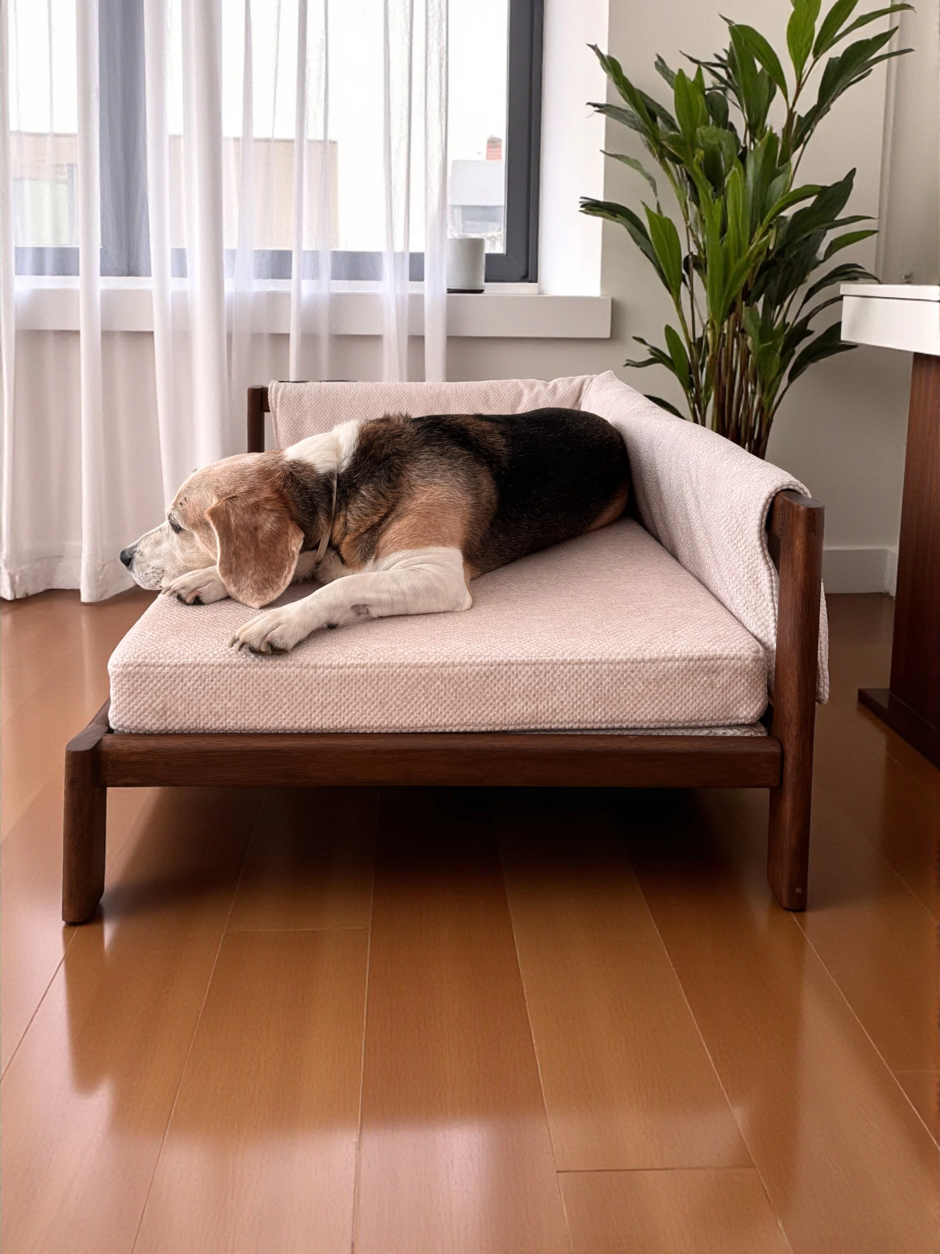 Loofa Köpek Yatağı