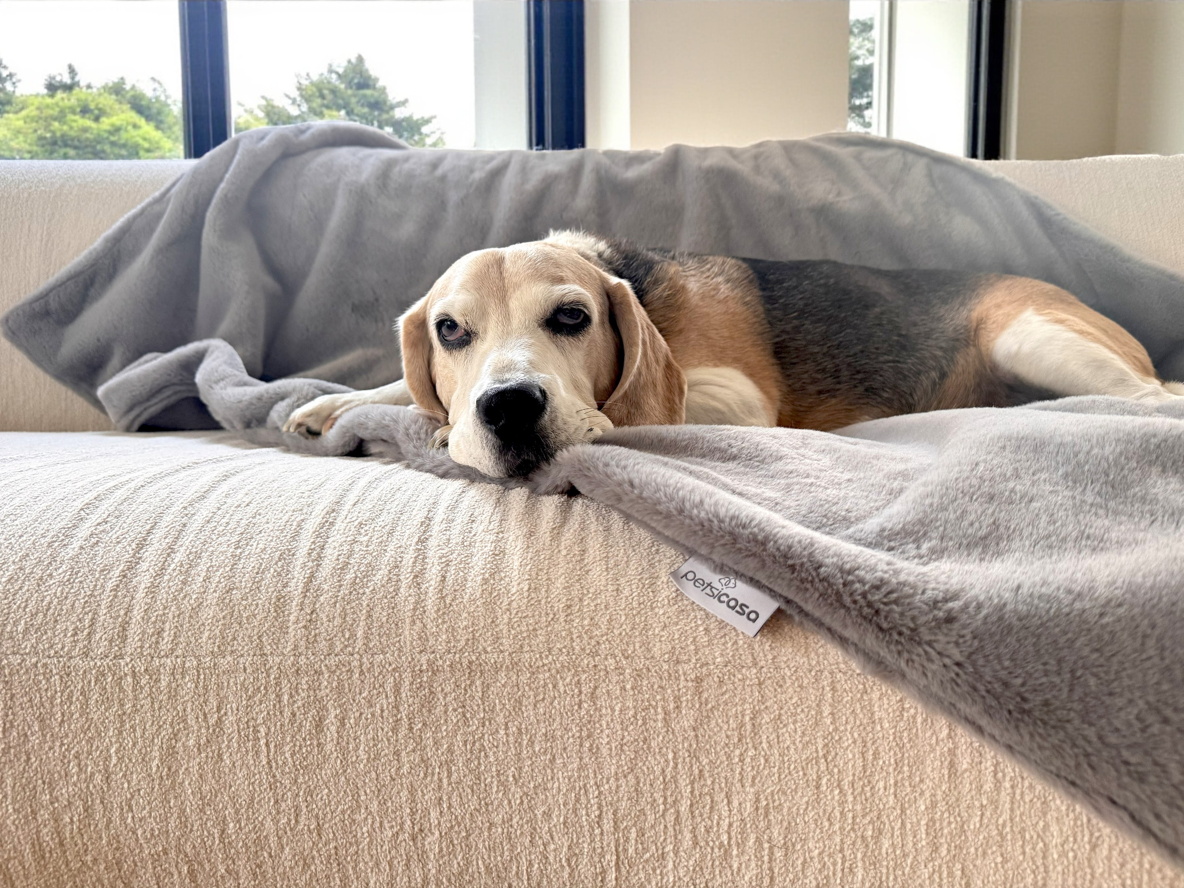 Warmy Kedi Köpek Battaniyesi