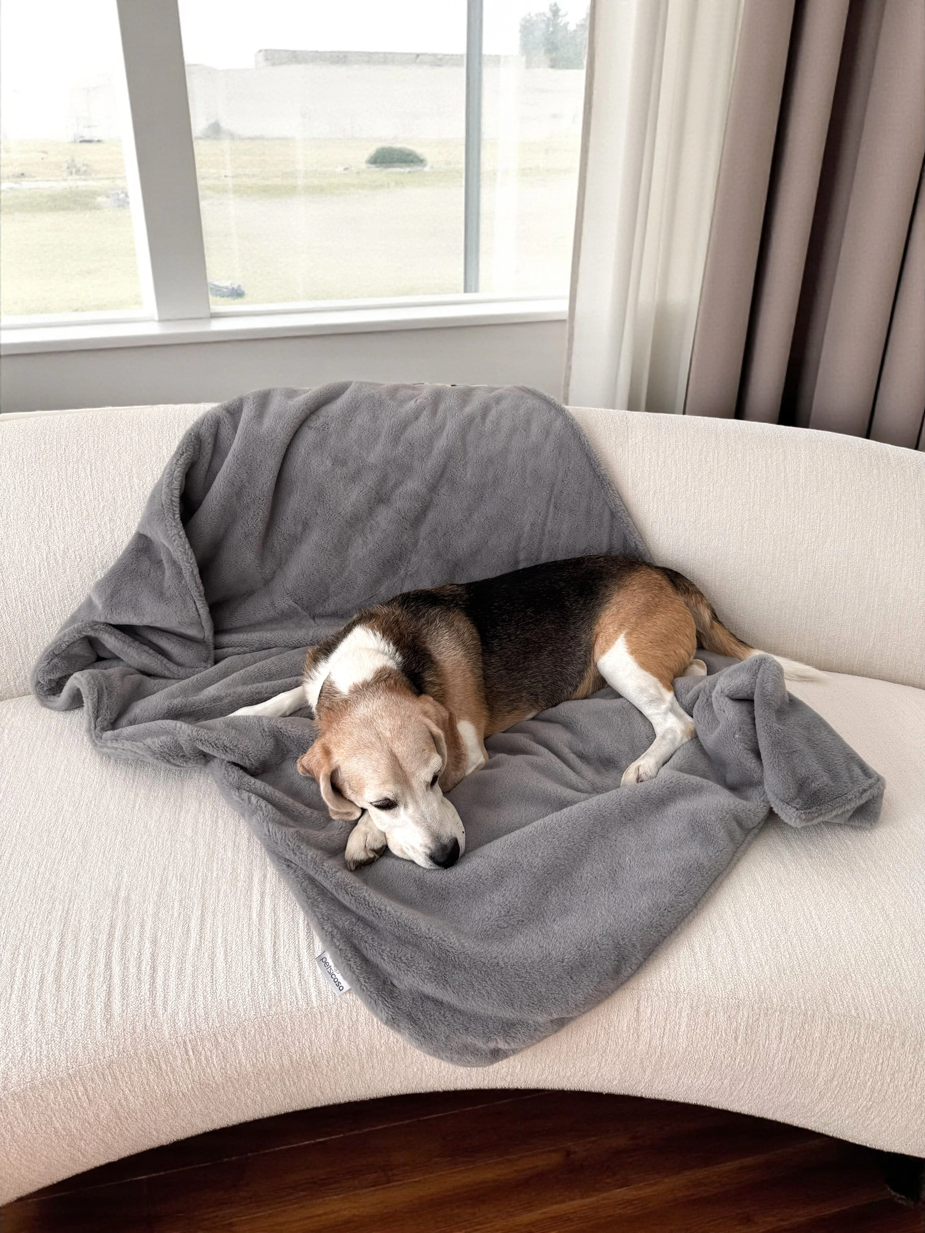 Warmy Kedi Köpek Battaniyesi