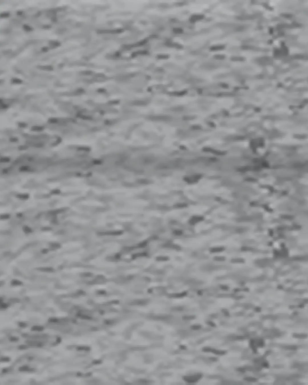 Granite