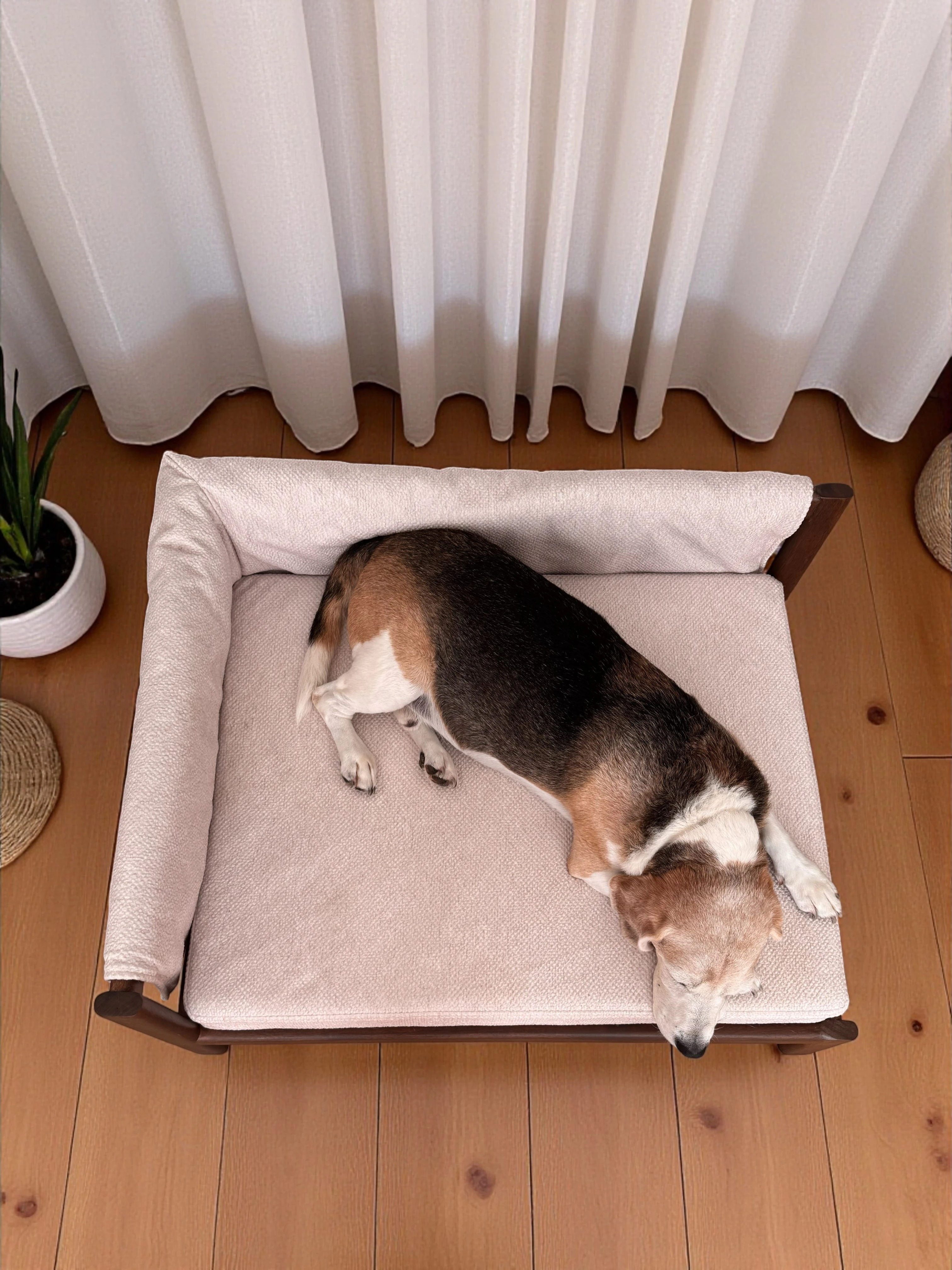 Loofa Köpek Yatağı