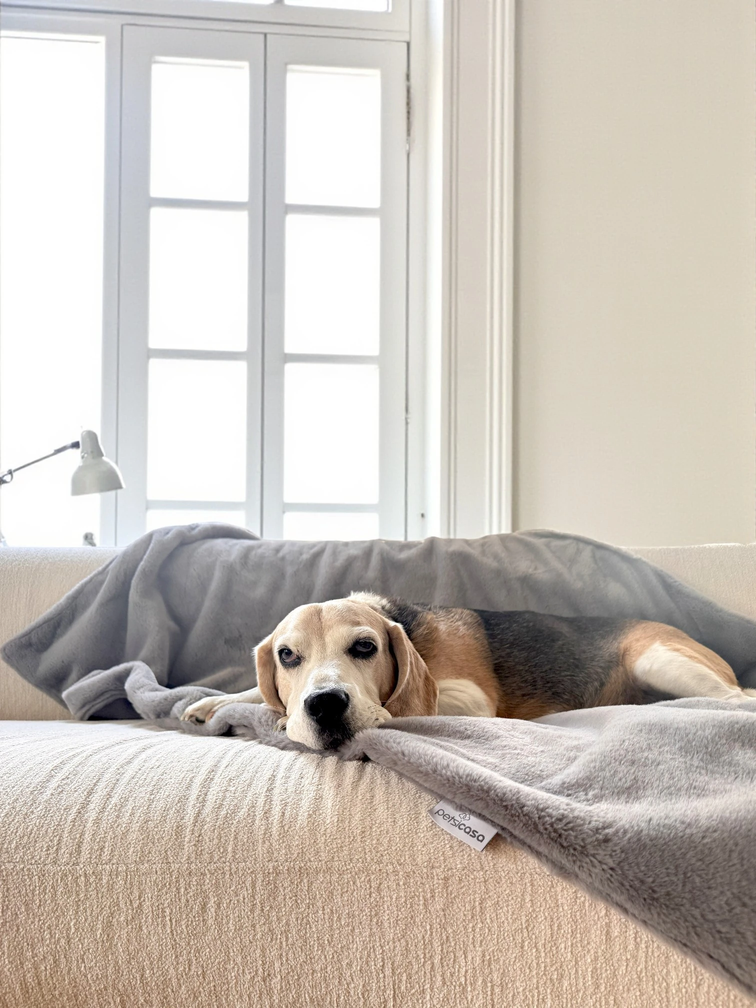 Warmy Kedi Köpek Battaniyesi