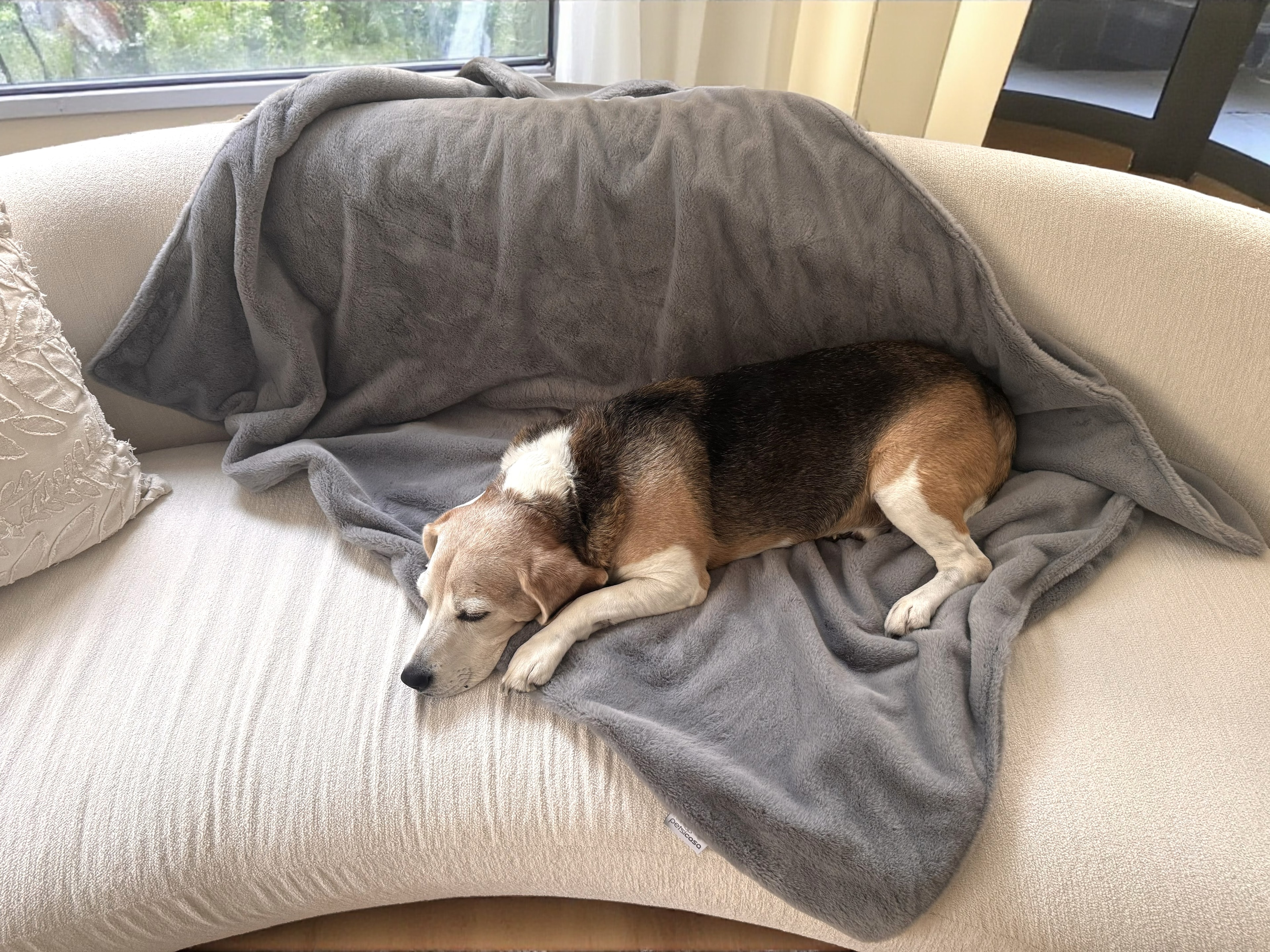 Warmy Kedi Köpek Battaniyesi