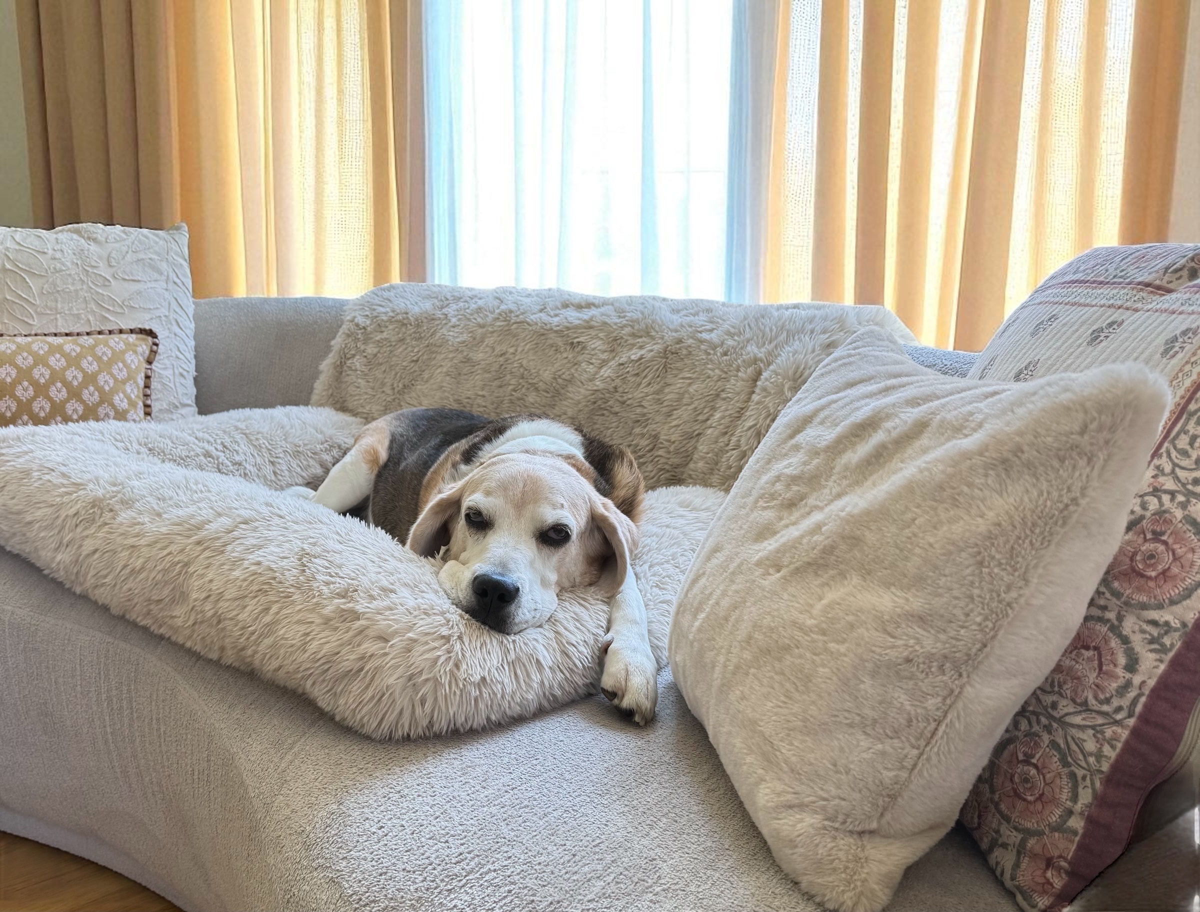 Nimbus Kedi Köpek Koltuk Örtüsü