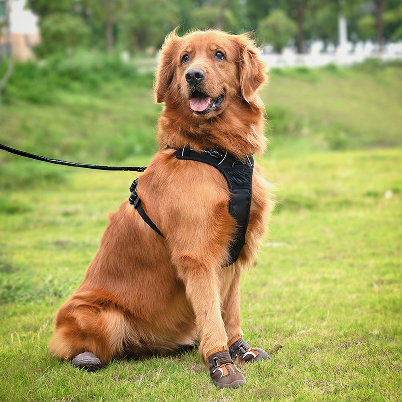 Suya Dayanıklı, Nefes Alabilen, Kahverengi Köpek Ayakkabısı