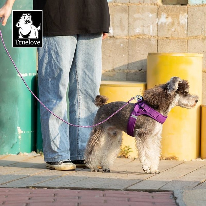 Hands-Free Mavi Halat Tasma Kayışı