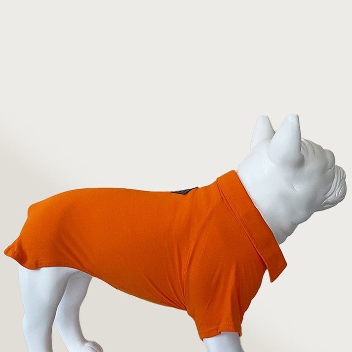 Turuncu Lacoste Küçük-Orta-Büyük Irk Köpek Kıyafeti