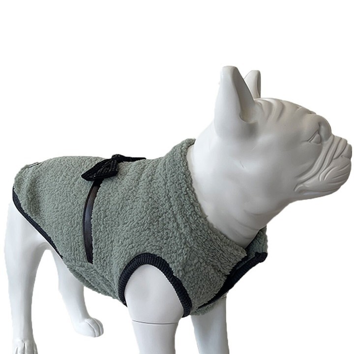 Yumuşak Polarlı Papyonlu Yeşil Köpek Kıyafeti