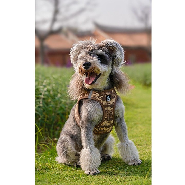 Camo Step-In Kahverengi Köpek Göğüs Tasması