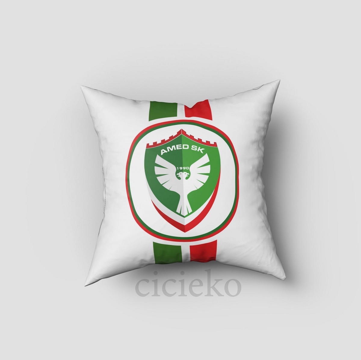 AmedSpor Kırlent Kılıfı