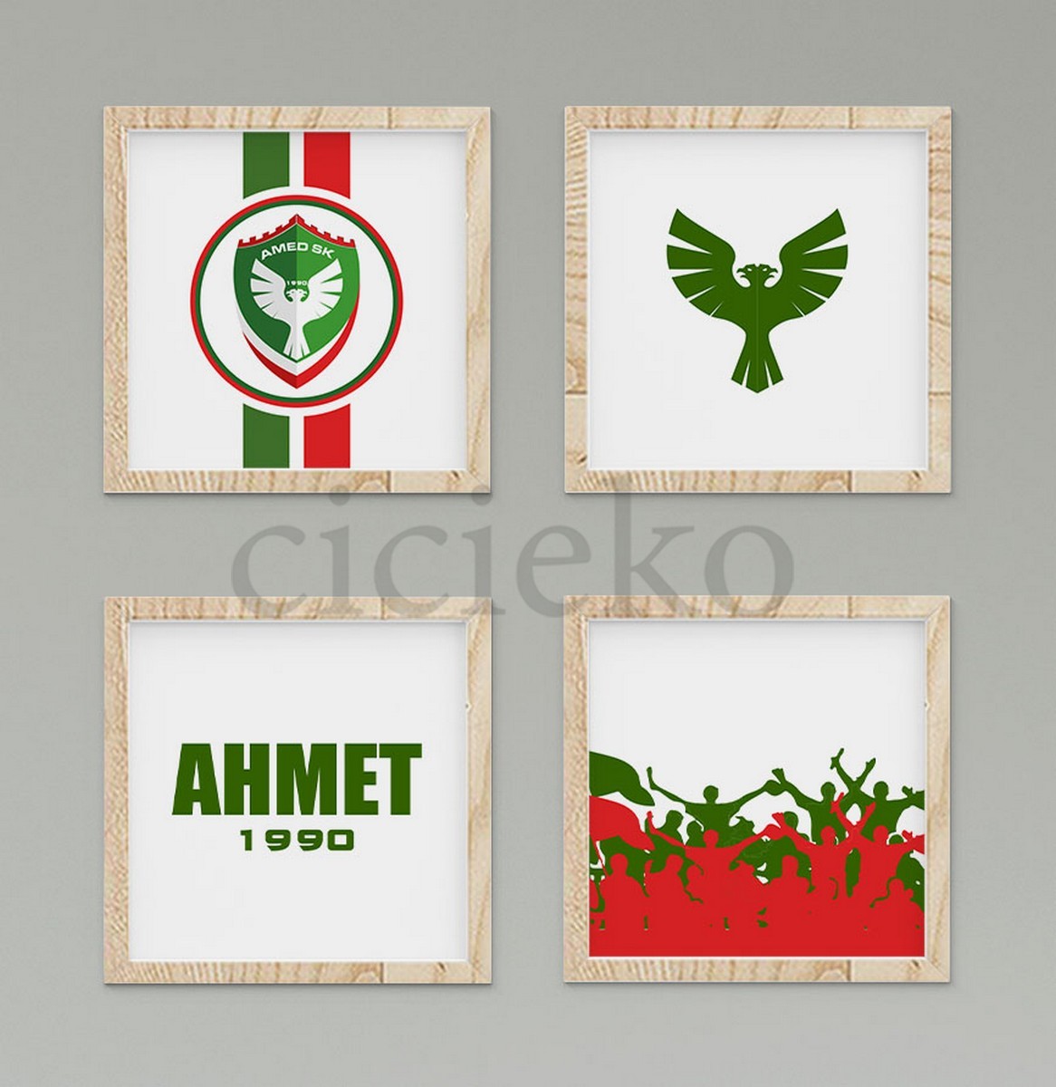 AmedSpor Duvar Tablo