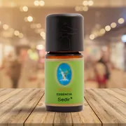 Sedir