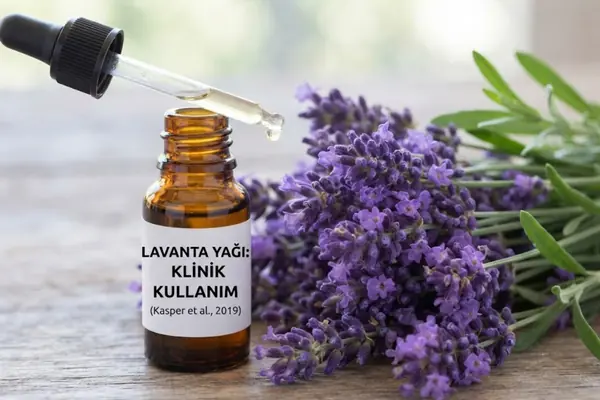 Lavanta yağı klinik kullanım (kesper et al,2019)