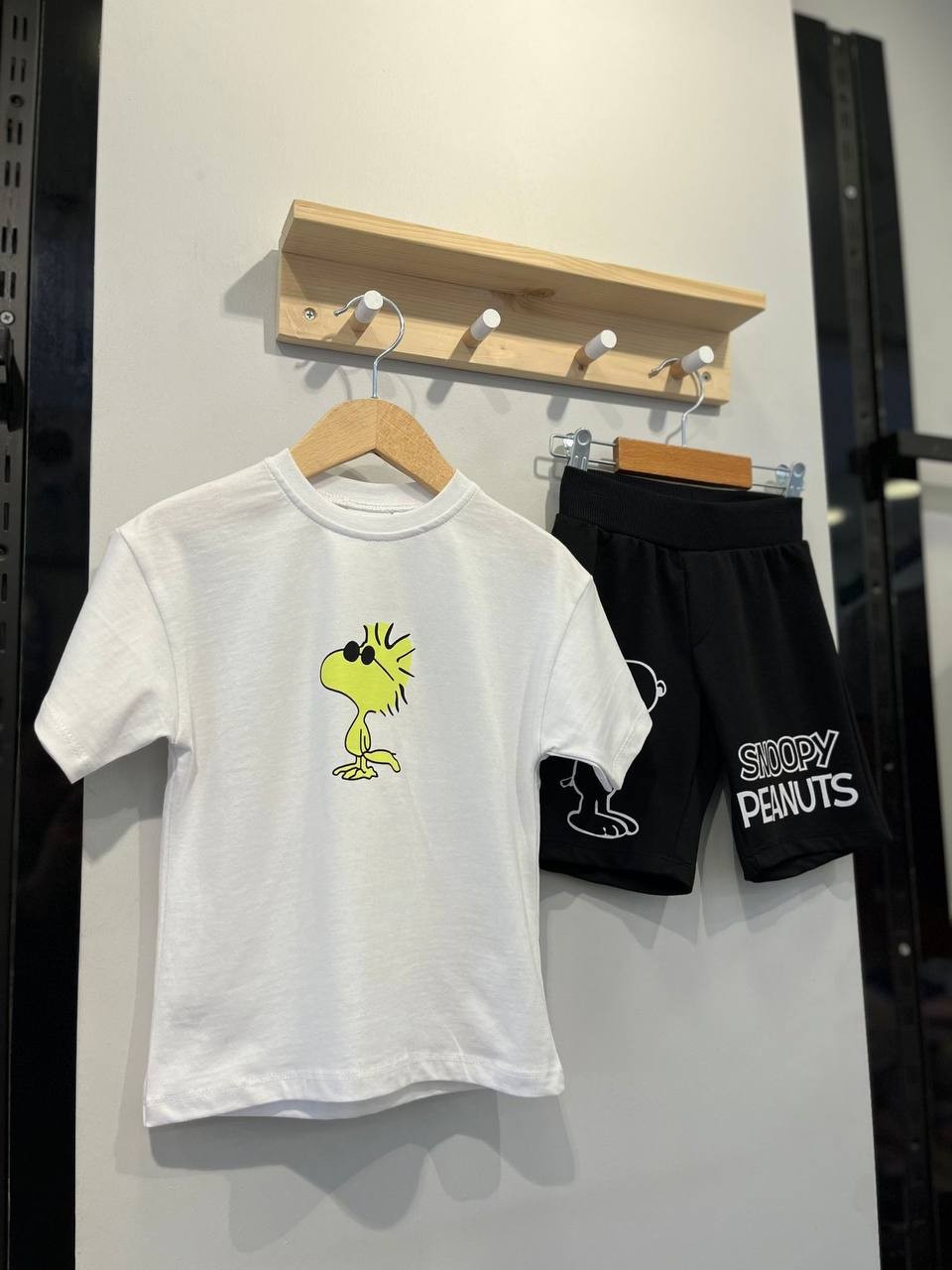 Erkek Çocuk Yazlık Alt-Üst Takım
