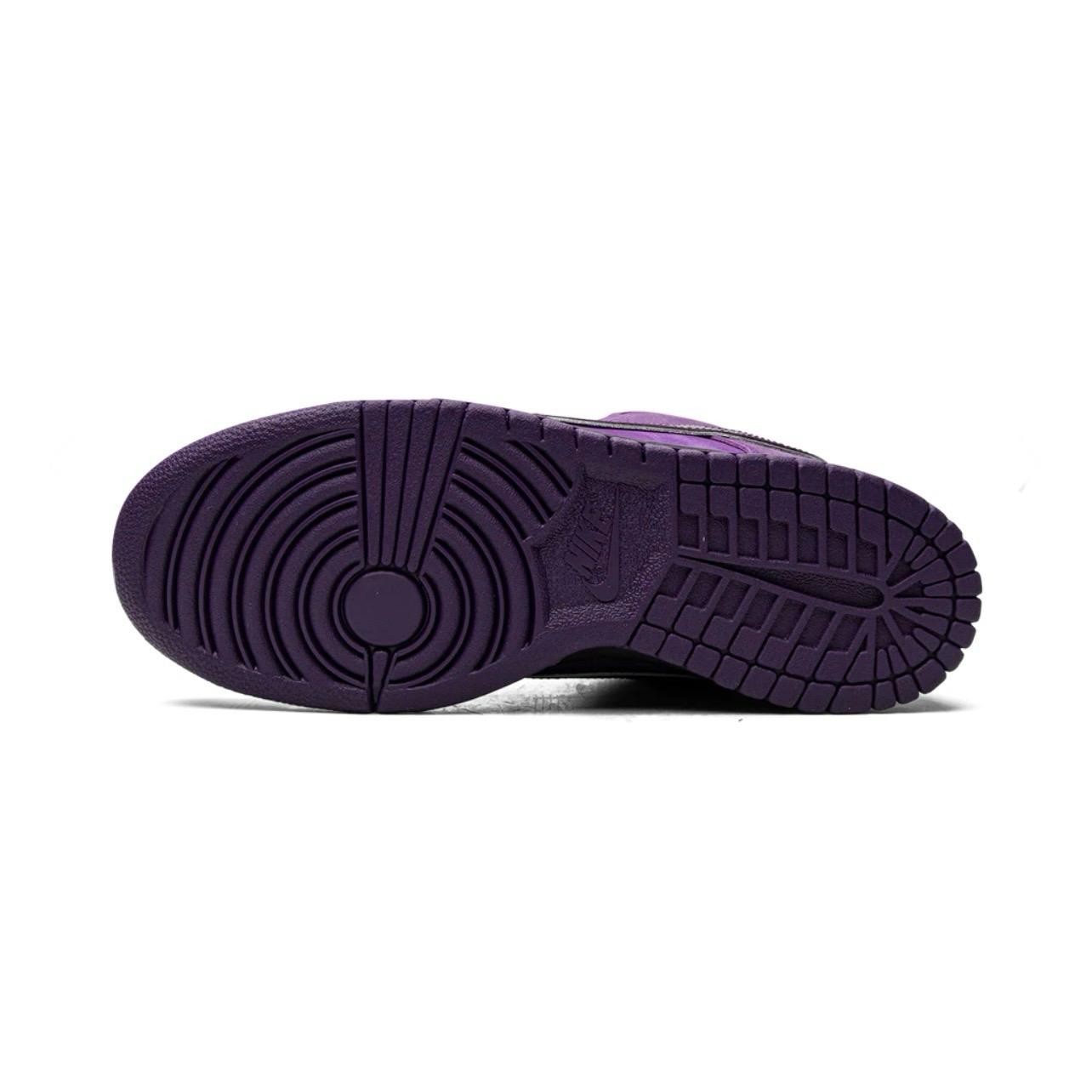 SB DUNK LOW PRO  "CONCEPTS - PURPLE LOBSTER