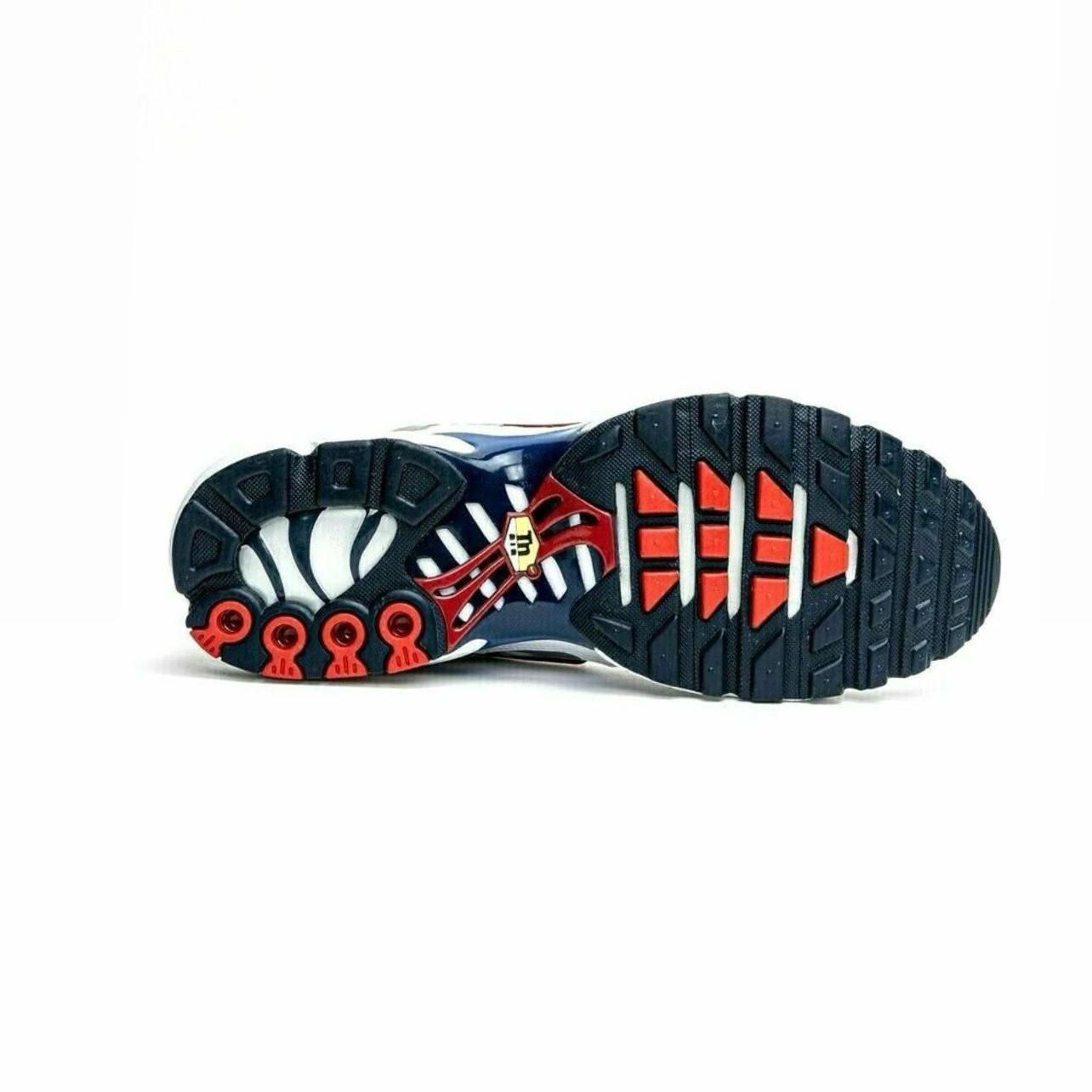 Nike Air Max Plus TN1 Euro Tour Grey Red Blue Trainers
