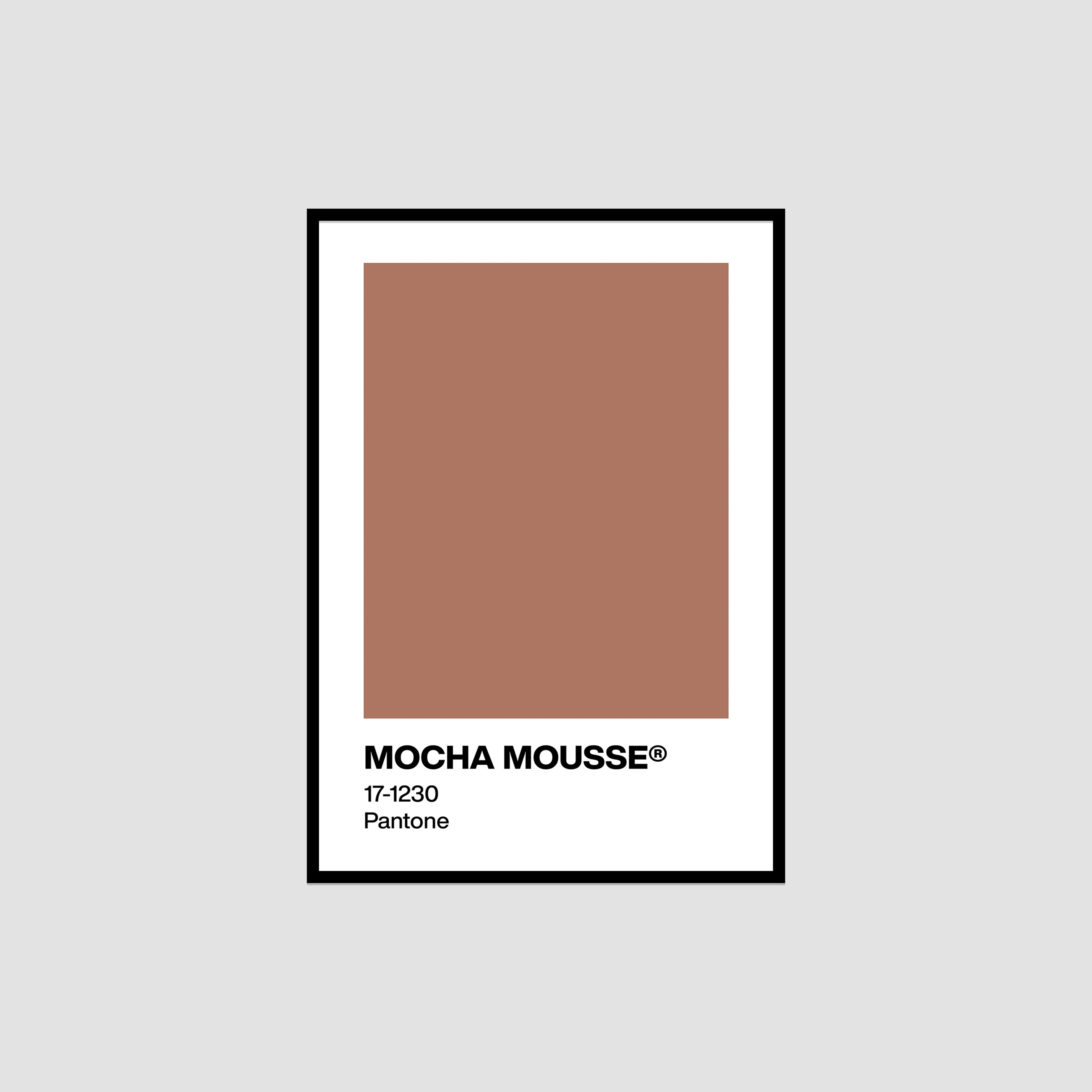 Pantone Mocha Mousse Çerçeveli Tablo