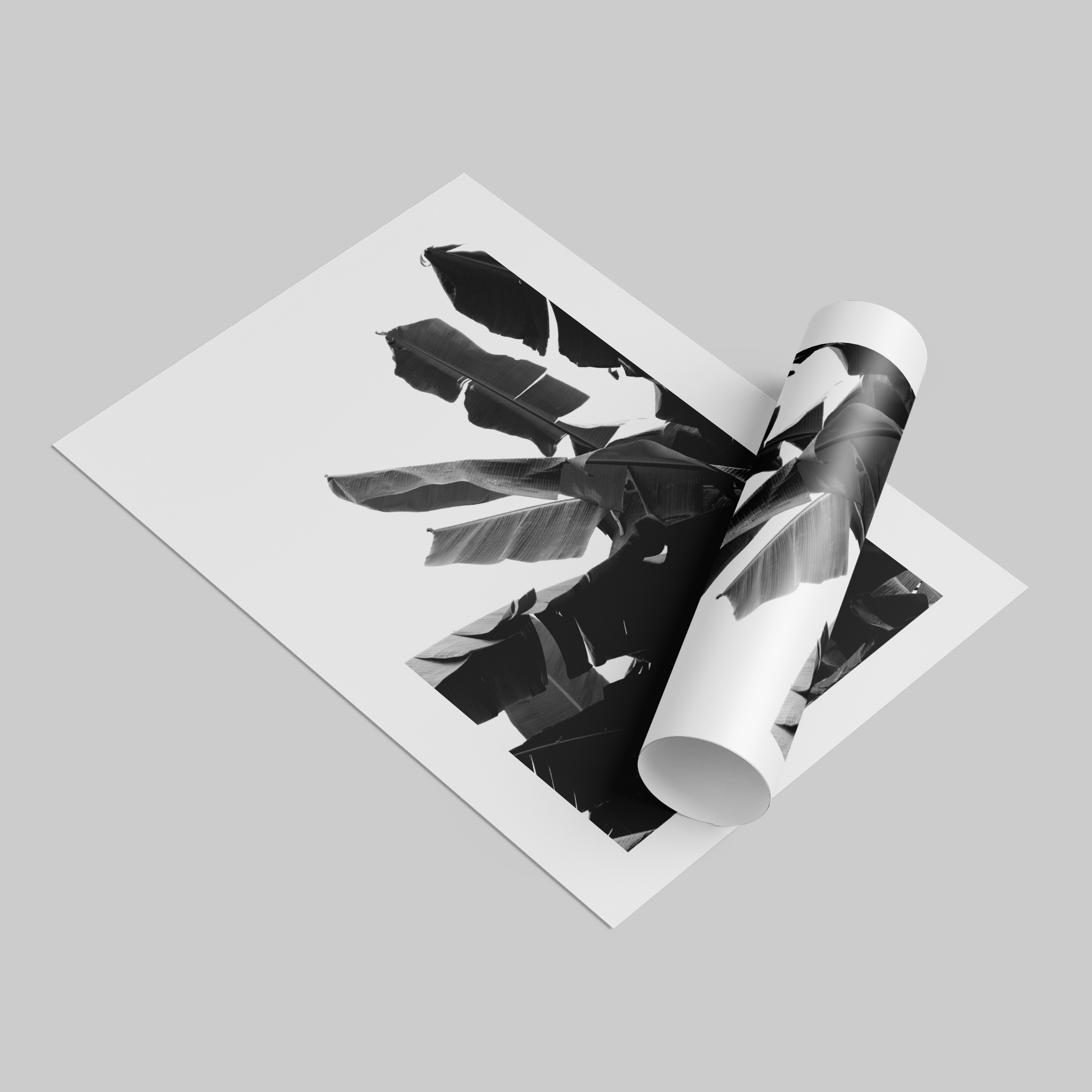 Banana Tree Çerçevesiz Poster