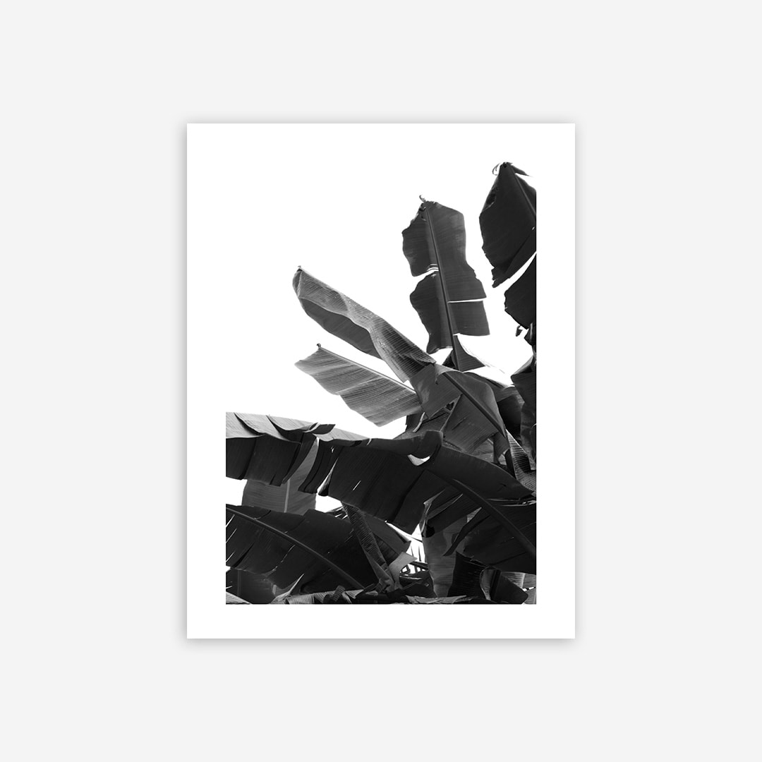 Bananas Poster