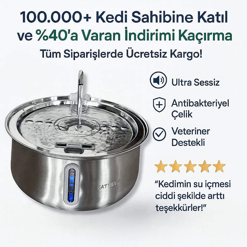 Catrevi™ Kedi Su Pınarı 4 L ve Filtre Seti | Veteriner Destekli