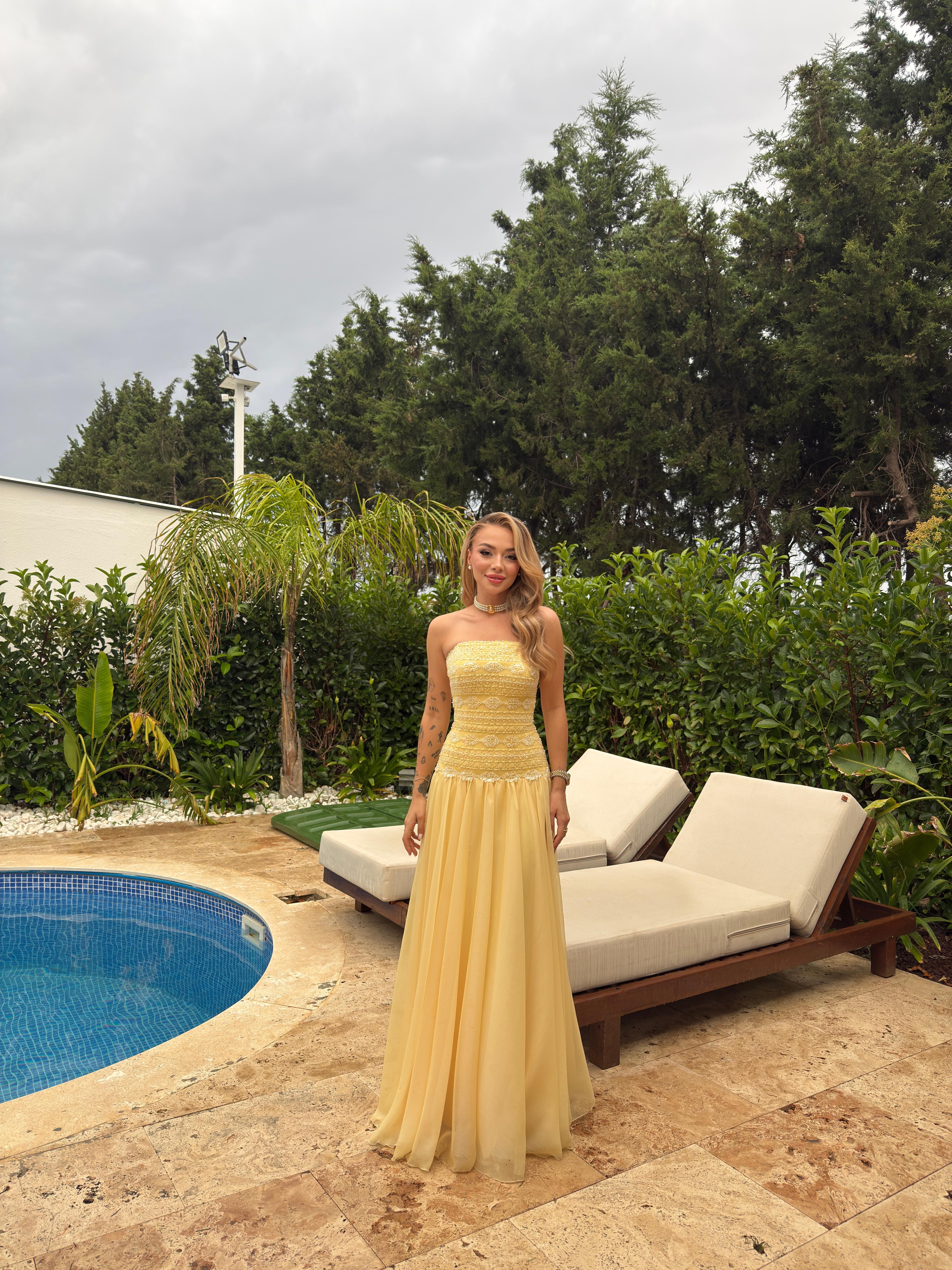 Rosemary Boncuk İşlemeli Şifon Elbise