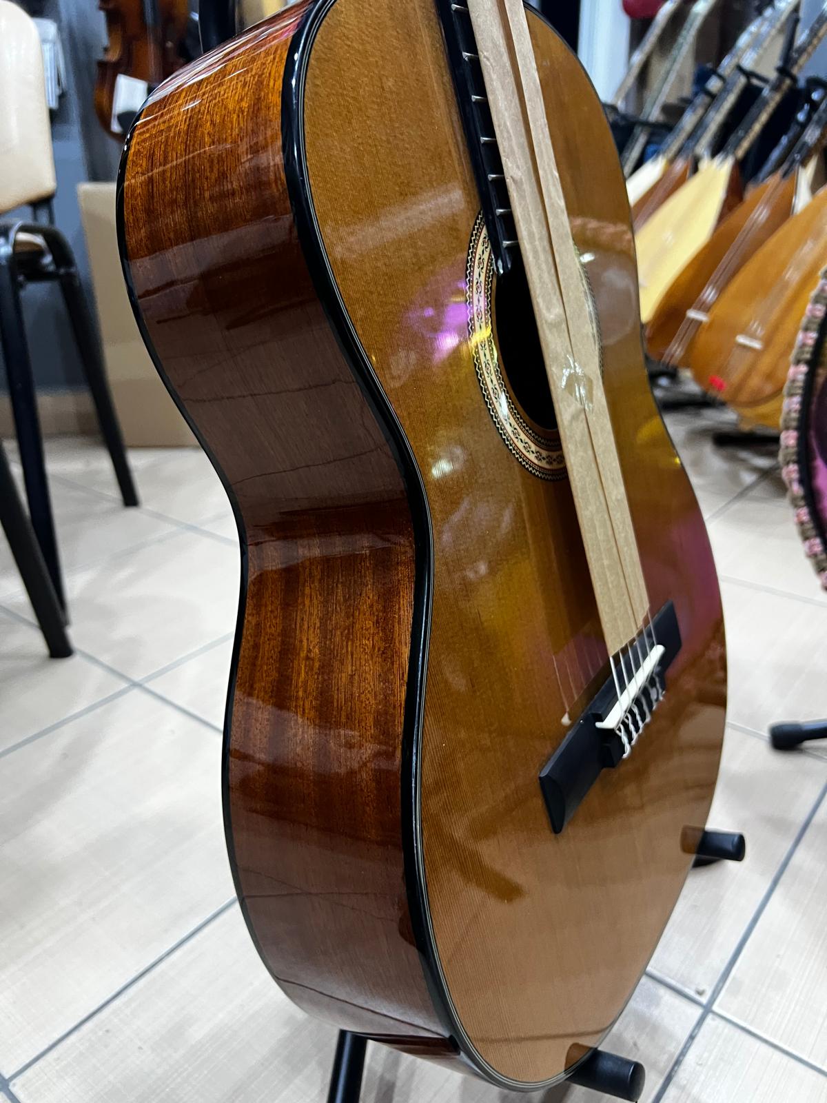 Solares HG560 Klasik Gitar (kalın korumalı kılıf, yedek tel ve pena hediye)